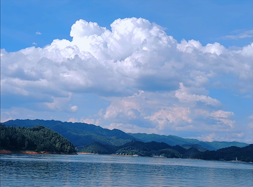 pa����|�й�Ψһ�ٷ���վ