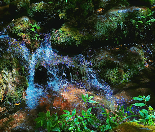 pa����|�й�Ψһ�ٷ���վ